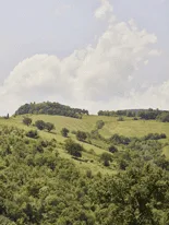 Dedon - Tour Du Monde 2019 — DEDON