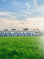 Faust Linoleum - Company Visit — FAUST LINOLEUM