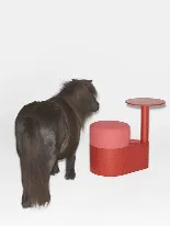 Gumpo - Pony — GUMPO