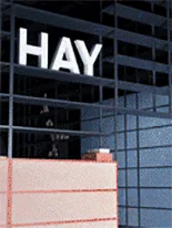 Hay - New Order — HAY