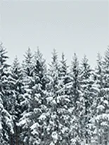 Journal - Winter — JOURNAL