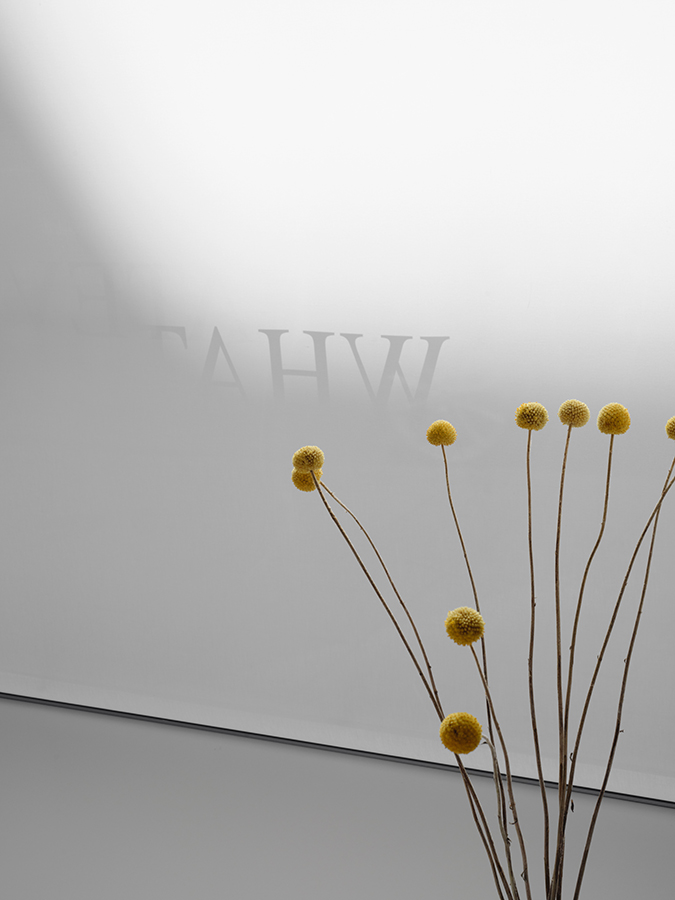 Cpwh - Wvh, CPWH, photograph 1 by Gerhardt Kellermann