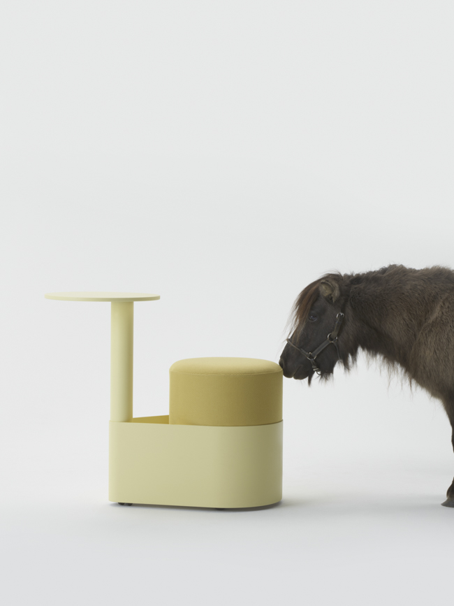 Gumpo - Pony — Gumpo Normcore Collection - Pony by RELVAOKELLERMANN, GUMPO, photograph 6 by Gerhardt Kellermann