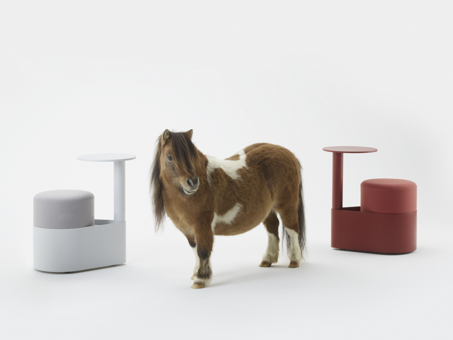 Gumpo - Pony — Gumpo Normcore Collection - Pony by RELVAOKELLERMANN, GUMPO, photograph 7 by Gerhardt Kellermann