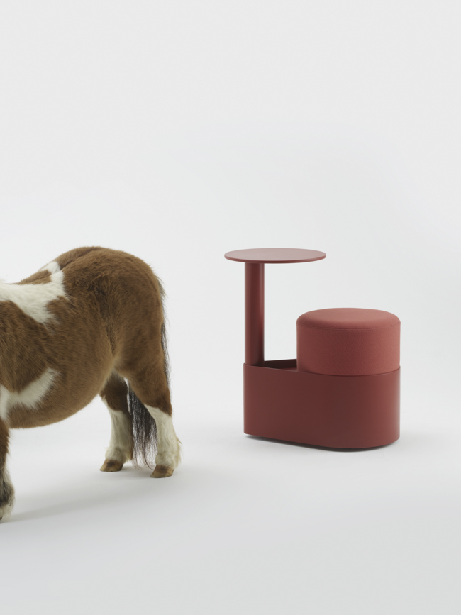 Gumpo - Pony — Gumpo Normcore Collection - Pony by RELVAOKELLERMANN, GUMPO, photograph 8 by Gerhardt Kellermann