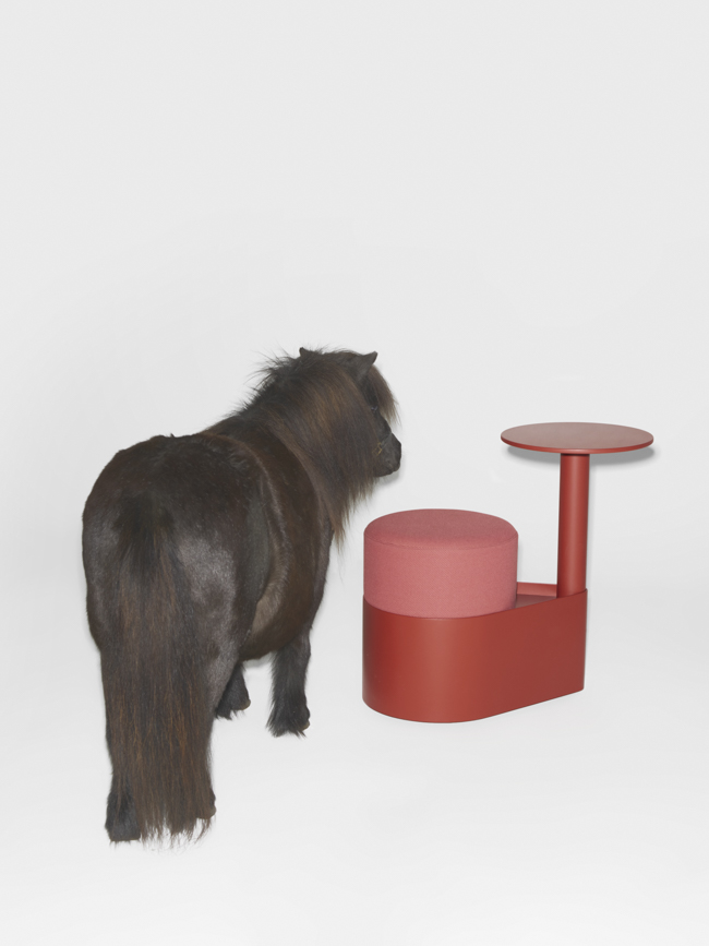 Gumpo - Pony — Gumpo Normcore Collection - Pony by RELVAOKELLERMANN, GUMPO, photograph 11 by Gerhardt Kellermann
