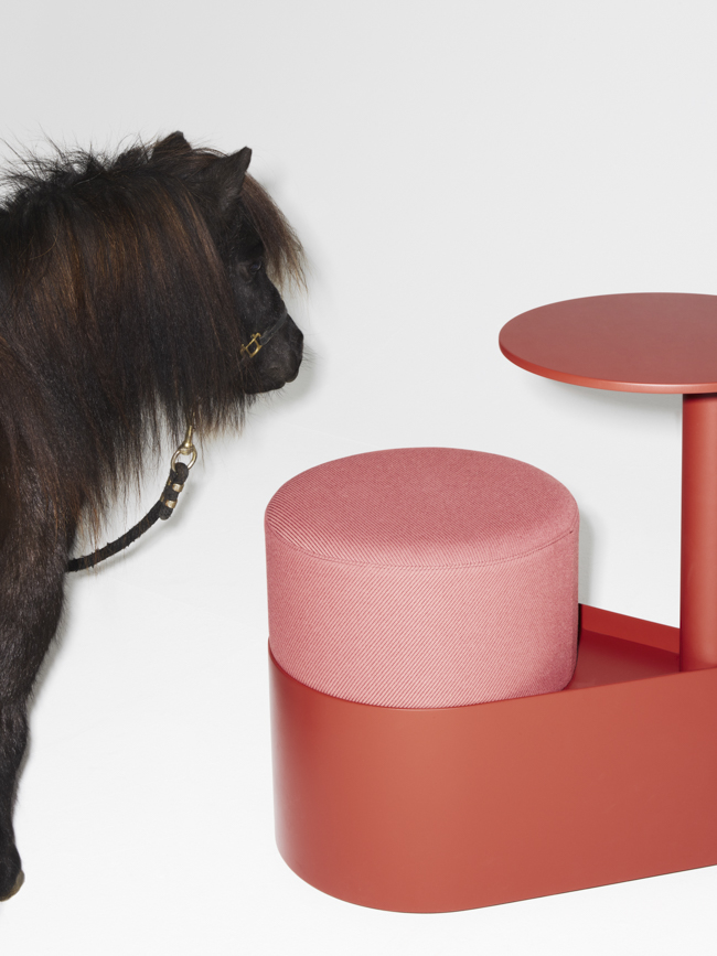 Gumpo - Pony — Gumpo Normcore Collection - Pony by RELVAOKELLERMANN, GUMPO, photograph 21 by Gerhardt Kellermann