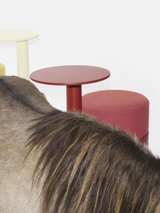 Gumpo - Pony — Gumpo Normcore Collection - Pony by RELVAOKELLERMANN, GUMPO, photograph 22 by Gerhardt Kellermann