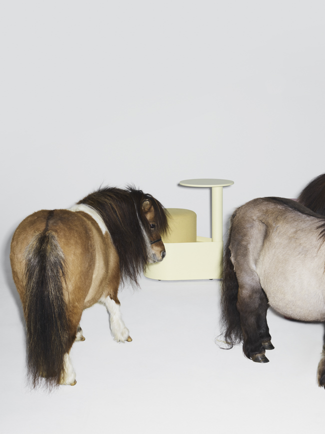 Gumpo - Pony — Gumpo Normcore Collection - Pony by RELVAOKELLERMANN, GUMPO, photograph 23 by Gerhardt Kellermann