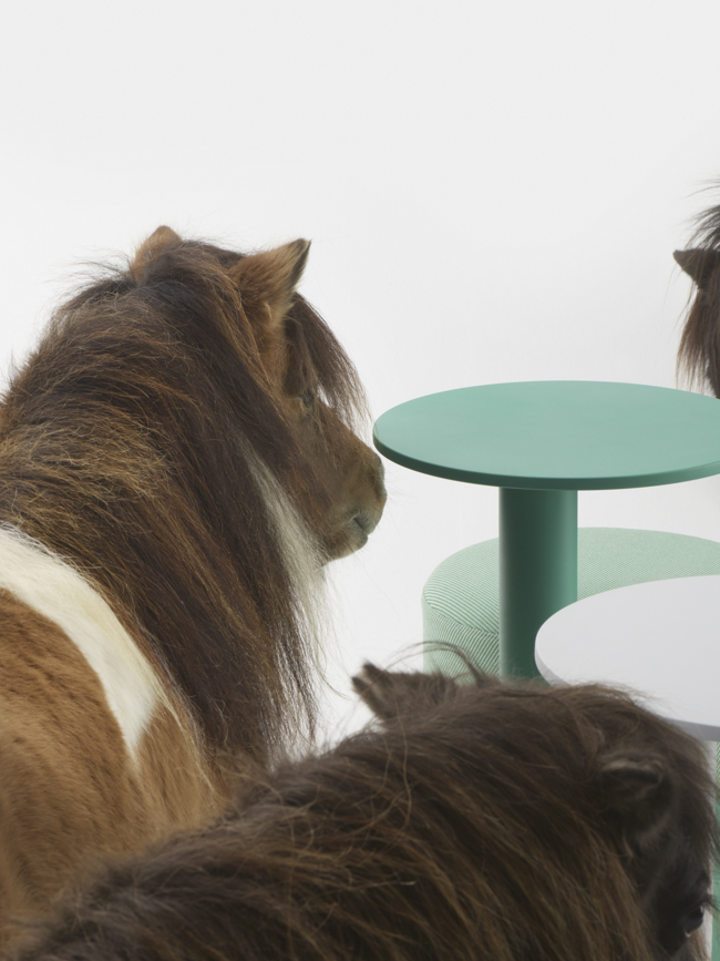 Gumpo - Pony — Gumpo Normcore Collection - Pony by RELVAOKELLERMANN, GUMPO, photograph 25 by Gerhardt Kellermann