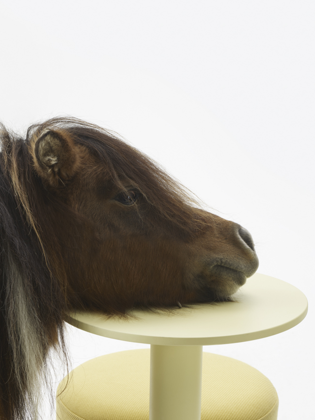 Gumpo - Pony — Gumpo Normcore Collection - Pony by RELVAOKELLERMANN, GUMPO, photograph 26 by Gerhardt Kellermann