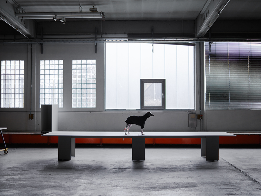 Gumpo - Update, GUMPO, photograph 9 by Gerhardt Kellermann
