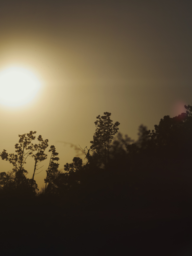 Journal - 16, JOURNAL, photograph 6 by Gerhardt Kellermann