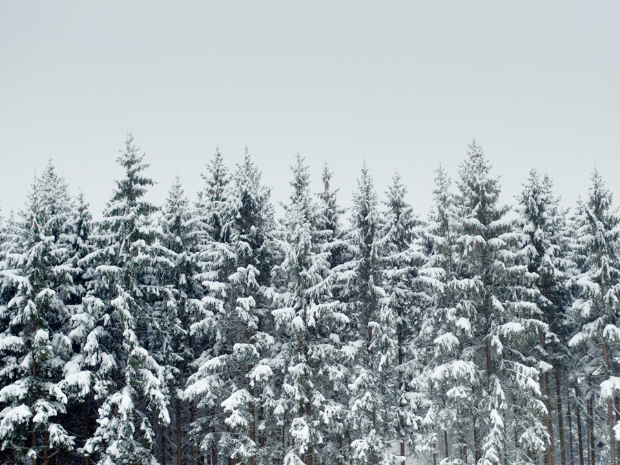 Journal - Winter, JOURNAL, photograph 1 by Gerhardt Kellermann