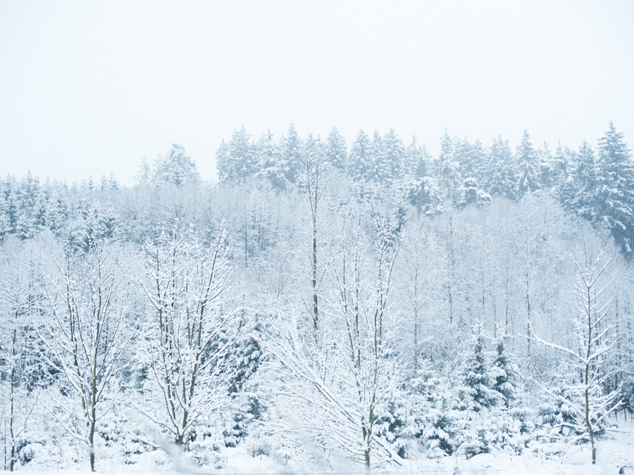 Journal - Winter, JOURNAL, photograph 2 by Gerhardt Kellermann