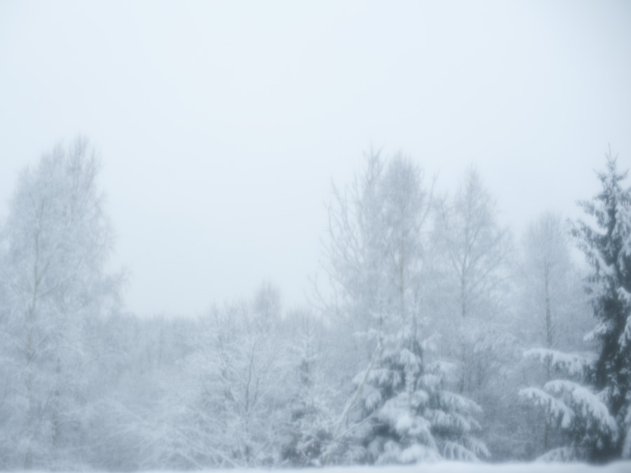 Journal - Winter, JOURNAL, photograph 3 by Gerhardt Kellermann