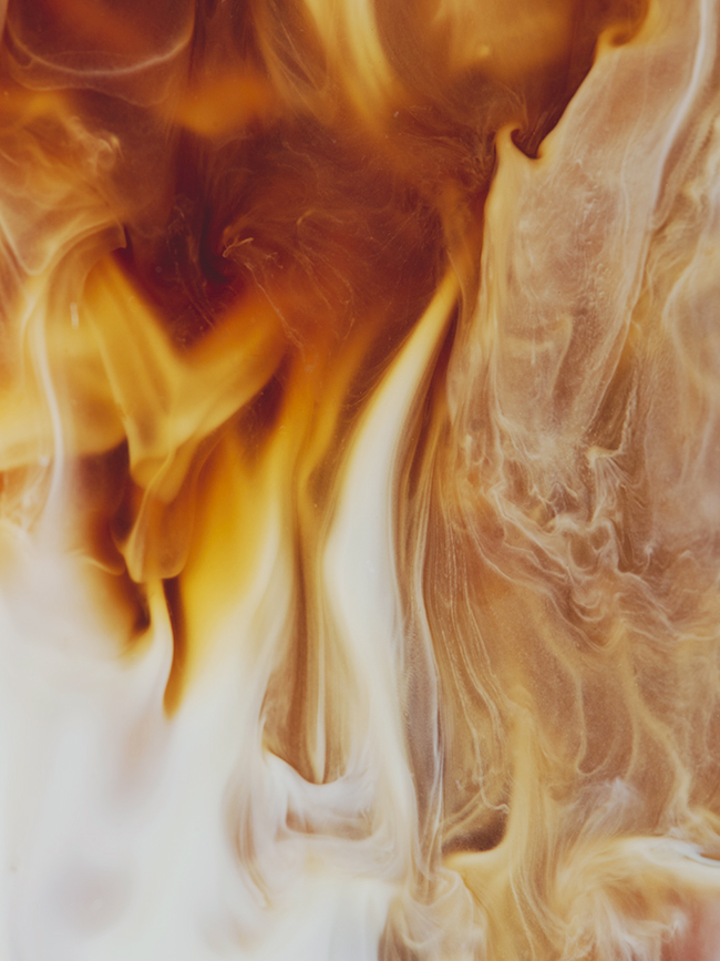 Qbo Coffee, QBO COFFEE, photograph 2 by Gerhardt Kellermann
