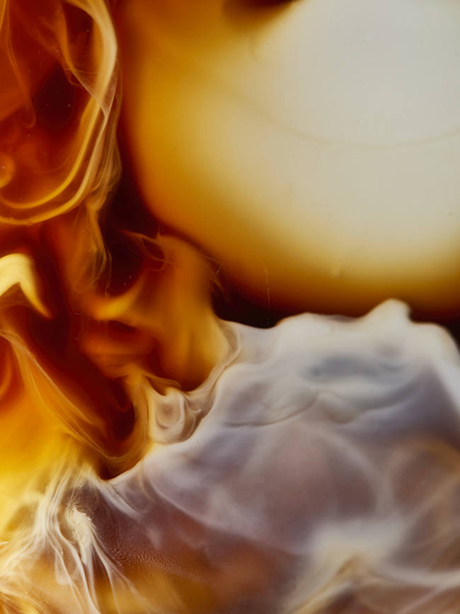 Qbo Coffee, QBO COFFEE, photograph 3 by Gerhardt Kellermann
