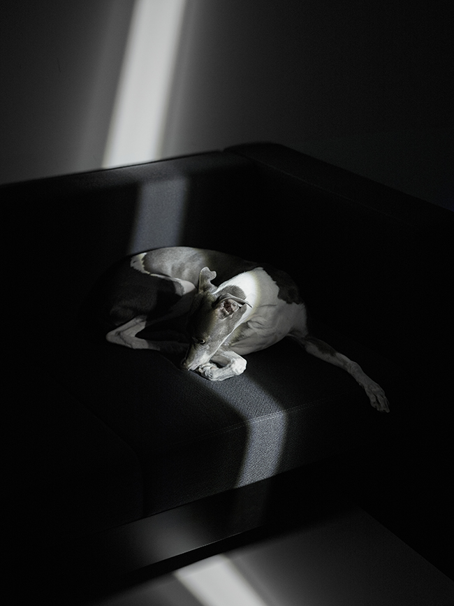 Relvaokellermann - White Stripe, RELVAOKELLERMANN, photograph 11 by Gerhardt Kellermann